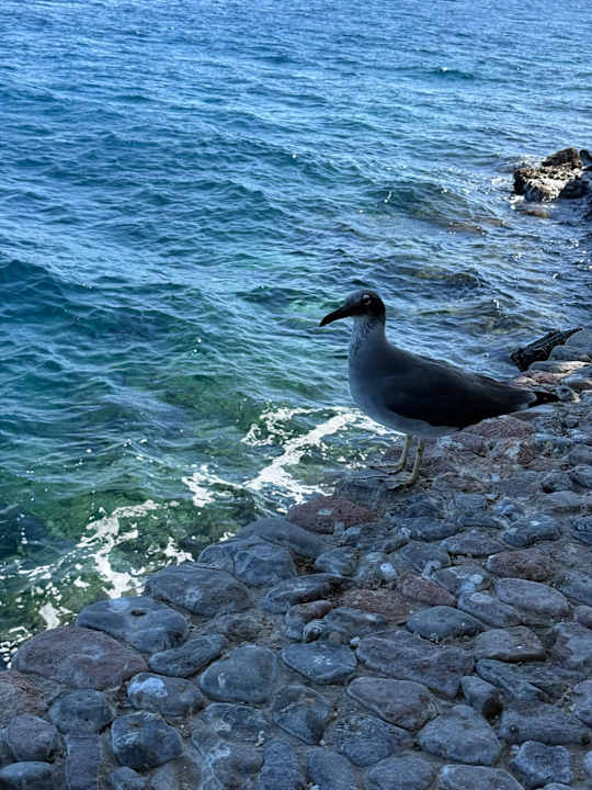 Außenansicht Arabella Azur Resort