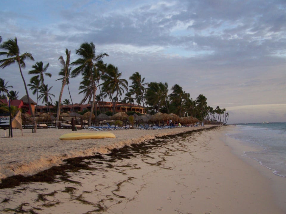 Einfach schön, manchmal mit bissel Seegras Punta Cana Princess All Suites Resort & Spa
