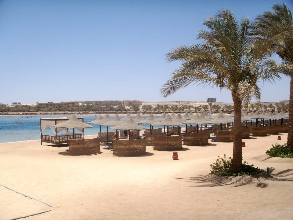 ... mit Liegen und Schirmen Steigenberger Coraya Beach - Adults only