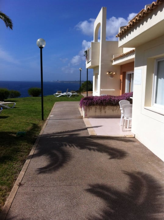 Seitlicher Blick blau punta reina