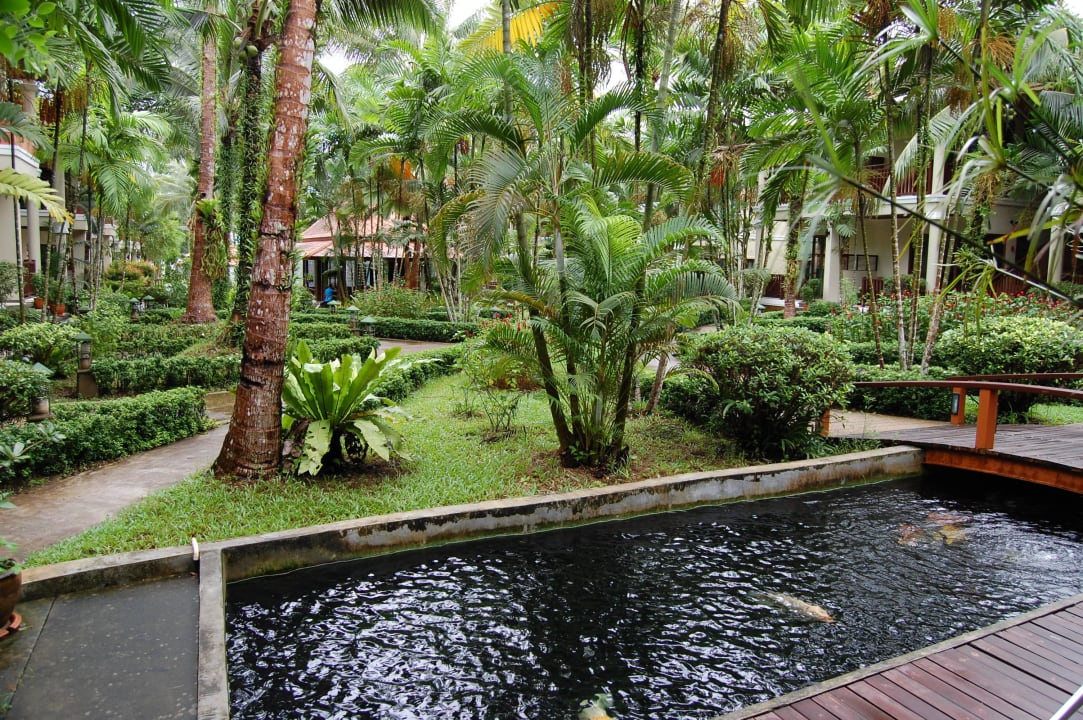 Garten mit Koi-Becken Khao Lak Bayfront Resort