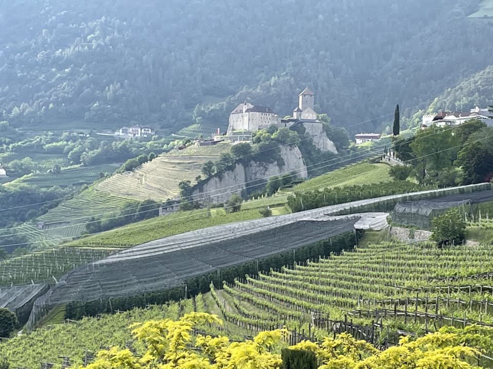 Ausblick SPA & Relax Hotel Erika