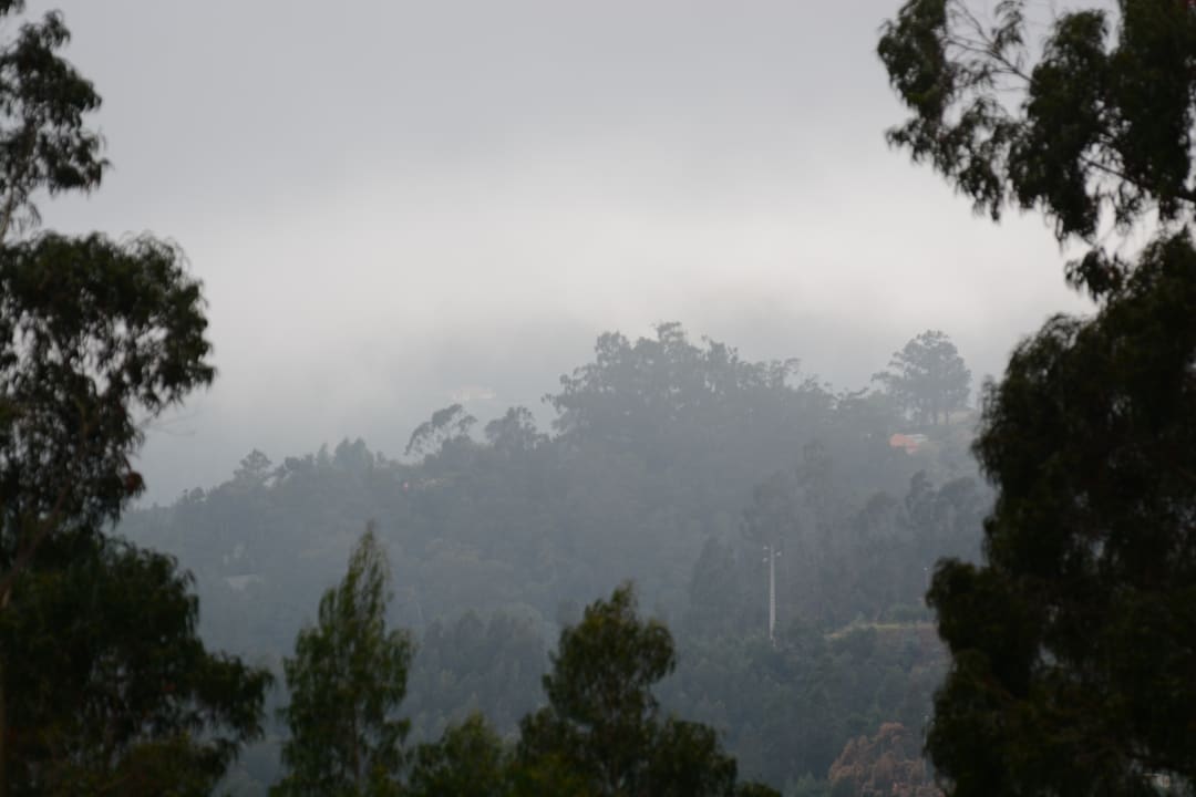 Ausblick Quinta Da Cova Do Milho