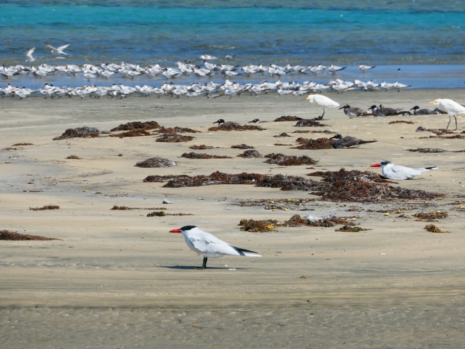 Strand Lahami Bay Beach Resort
