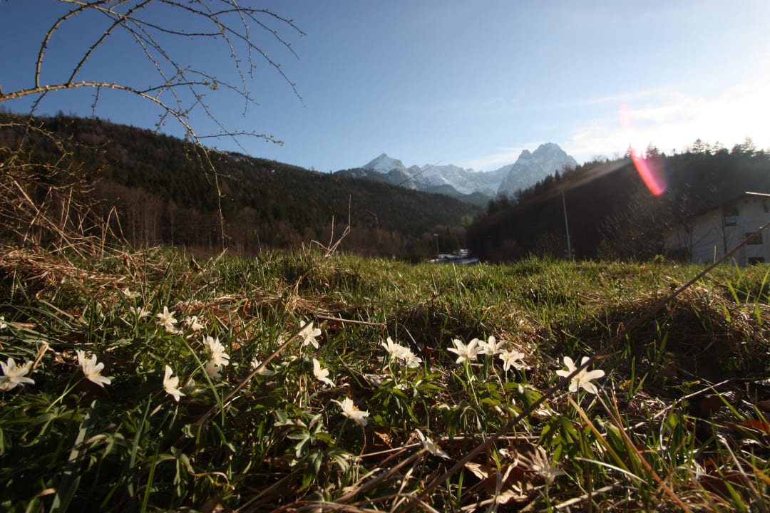 Panoramawiese im Frühling, Riessersee, Garmisch Riessersee Hotel