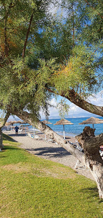 Strand TUI BLUE Oceanis Beach and Spa Resort