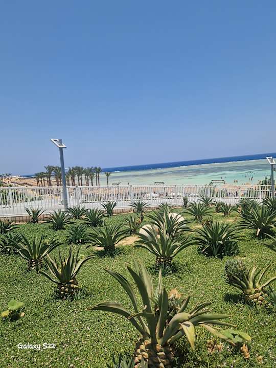 Außenansicht Pickalbatros Vita Resort - Portofino Marsa Alam