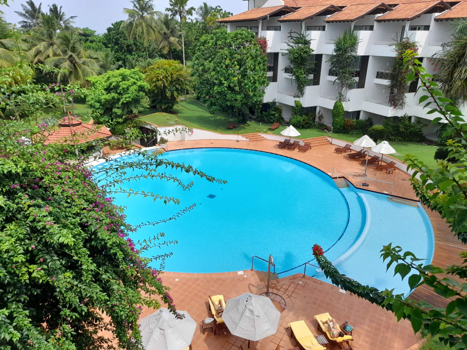 Pool Hotel Lanka Princess Ayurveda