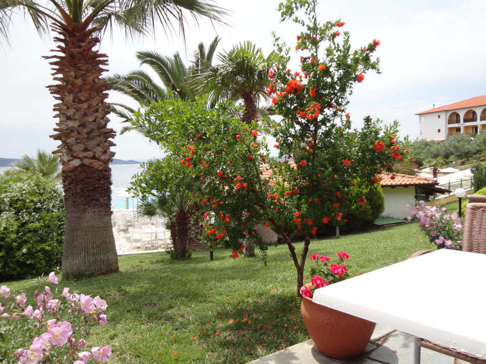 Paradis Akrathos Beach Hotel