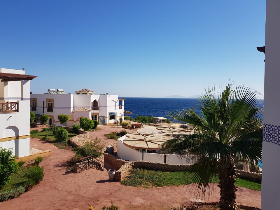 Gartenanlage Amphoras Blu