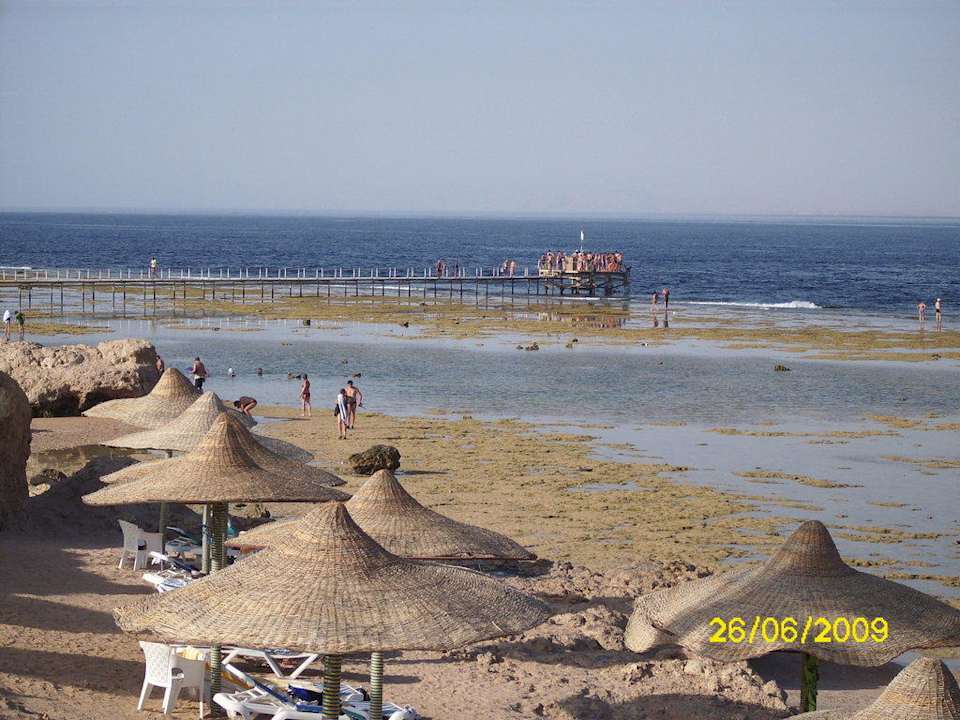 Hotelstrand bei Ebbe Charmillion Sea Life Resort