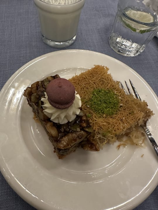 Gastro Seashell Vega