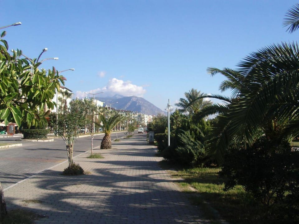 Straße am Hotel Eftalia Downtown Hotel