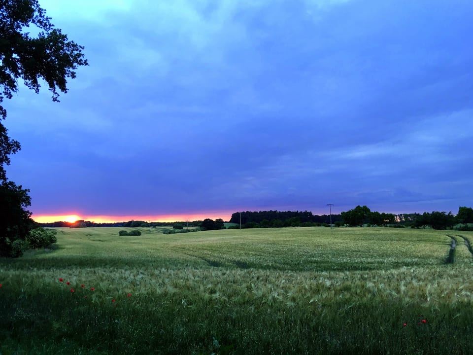 Ausblick FerienGut Dalwitz