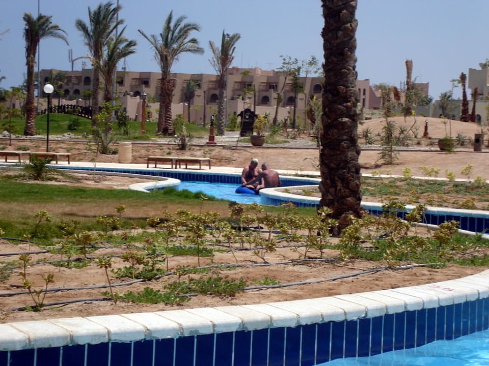 Steigenberger Al Dau Beach Resort Steigenberger ALDAU Beach Hotel