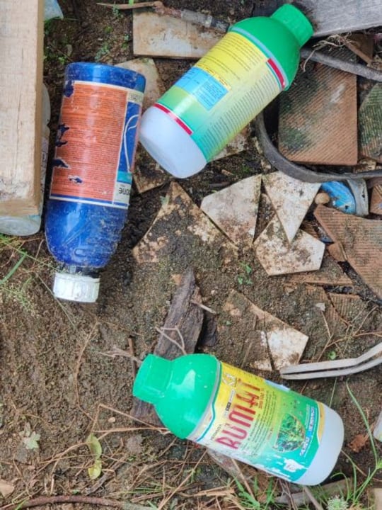 Gartenanlage Ecolodge Bukit Lawang