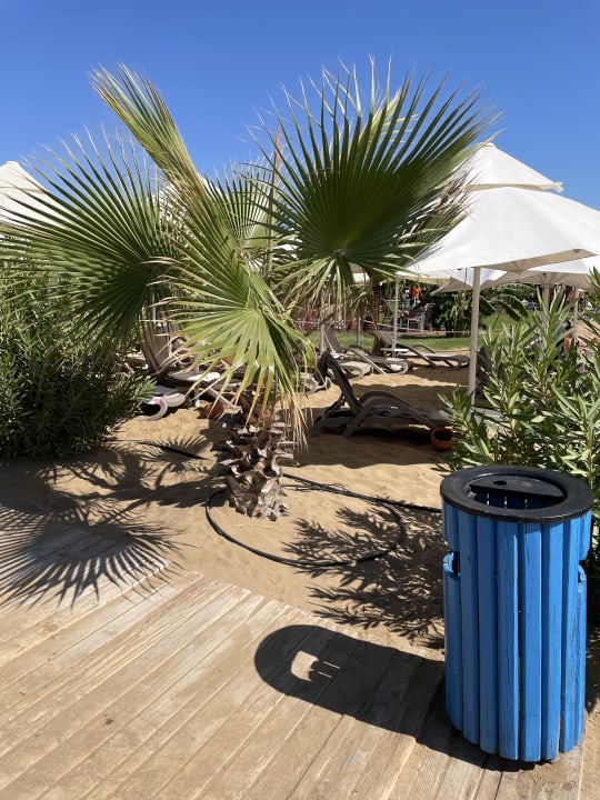 Strand VONRESORT Golden Coast