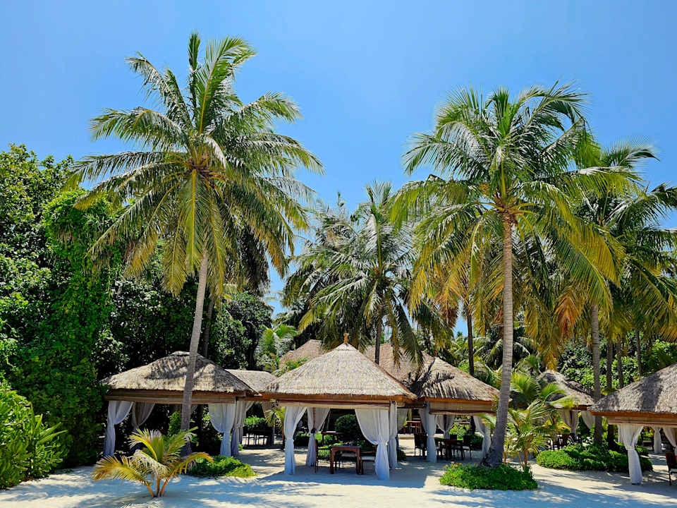 Gastro Reethi Faru Resort
