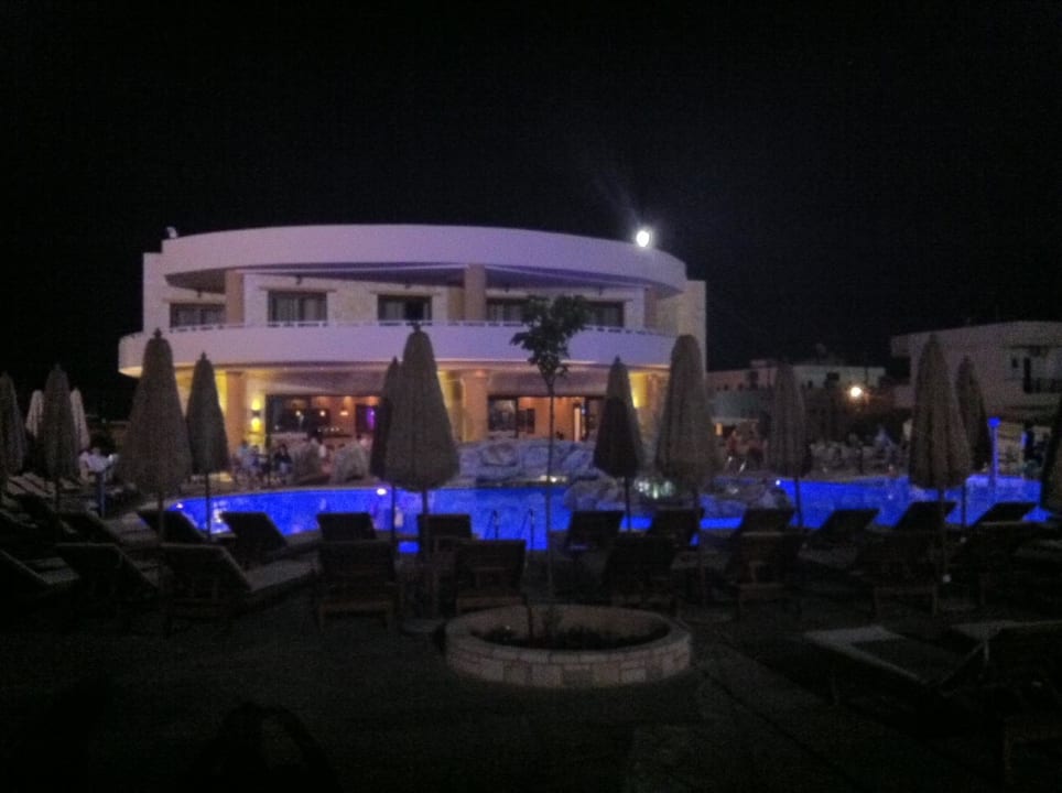 Atmosphäre pur Cactus Royal