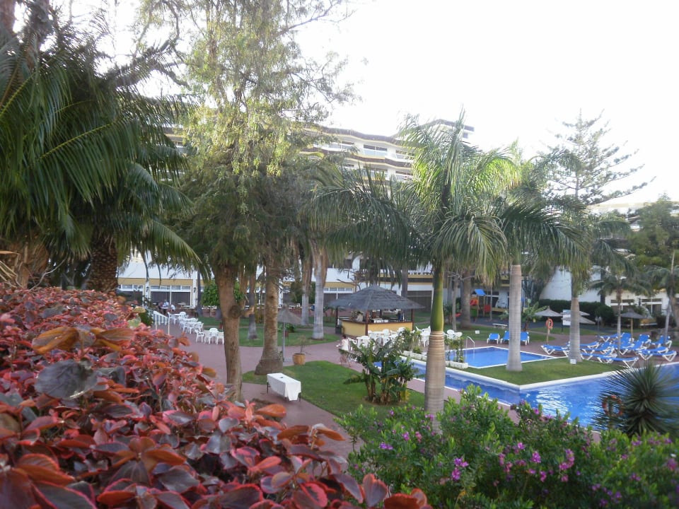 Vom Bonanza Palace BLUESEA Complejo Puerto Resort (Canarife y Bonanza Palace))