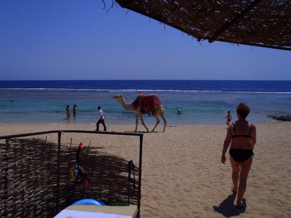 Výhled z lehátka Akassia Swiss Resort