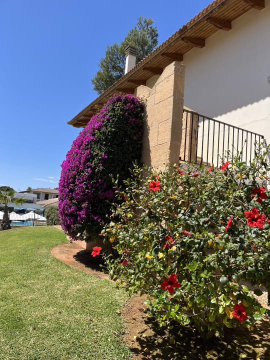 Gartenanlage Blau Colònia Sant Jordi