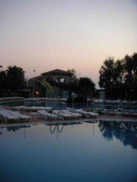 Pool Trendy Palm Beach (Adults Only, 16+)