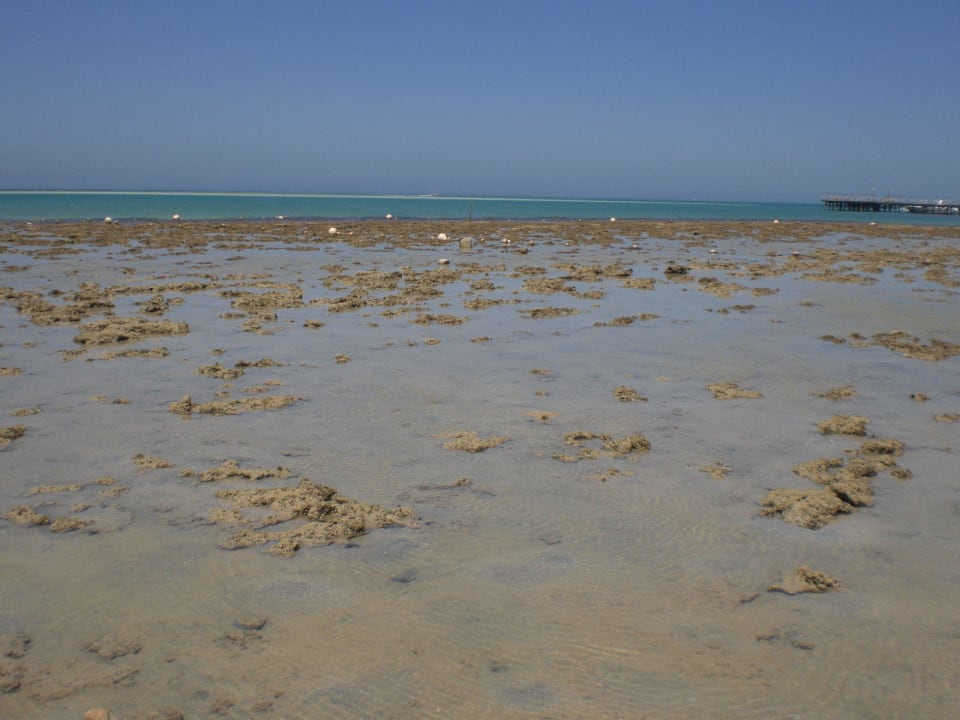 Viele Steine im Meer Le Jardin Aqua Park Resort