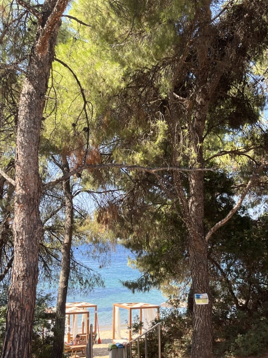 Strand Blue Dolphin Resort Hotel