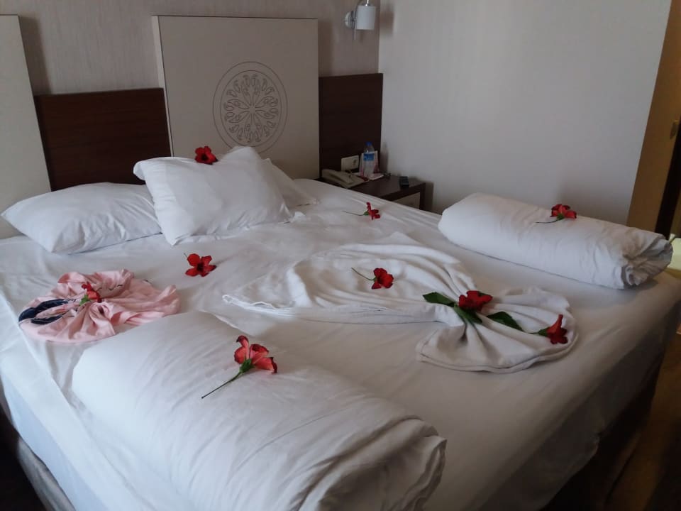 Zimmer Side Alegria Hotel & Spa - Adults only +16