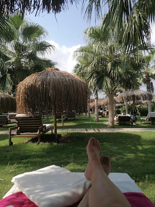 Gartenanlage Rubi Platinum Sign