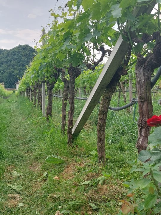 Sport & Freizeit SOLEA Südtirol