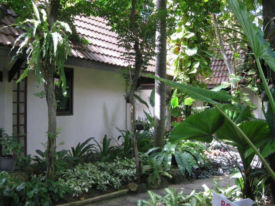 Bungalow & Garten Samui Natien Resort