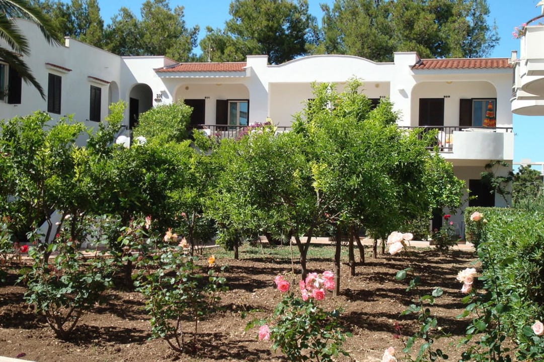 Gartenanlage Oasiclub Hotel