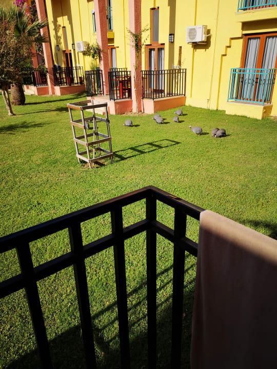 Gartenanlage VONRESORT Golden Beach