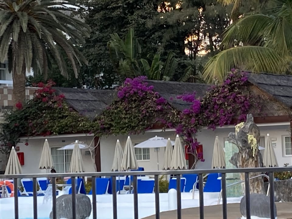 Zimmer Bull Costa Canaria & Spa - Adults only