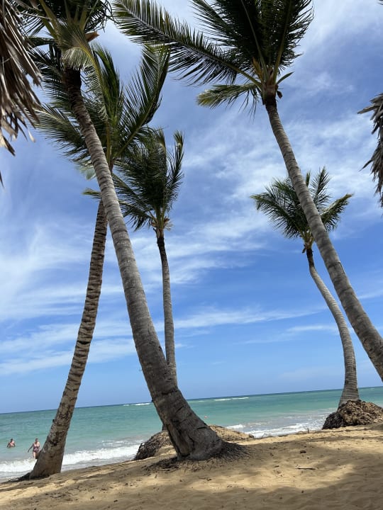 Strand Finest Punta Cana by The Excellence Collection