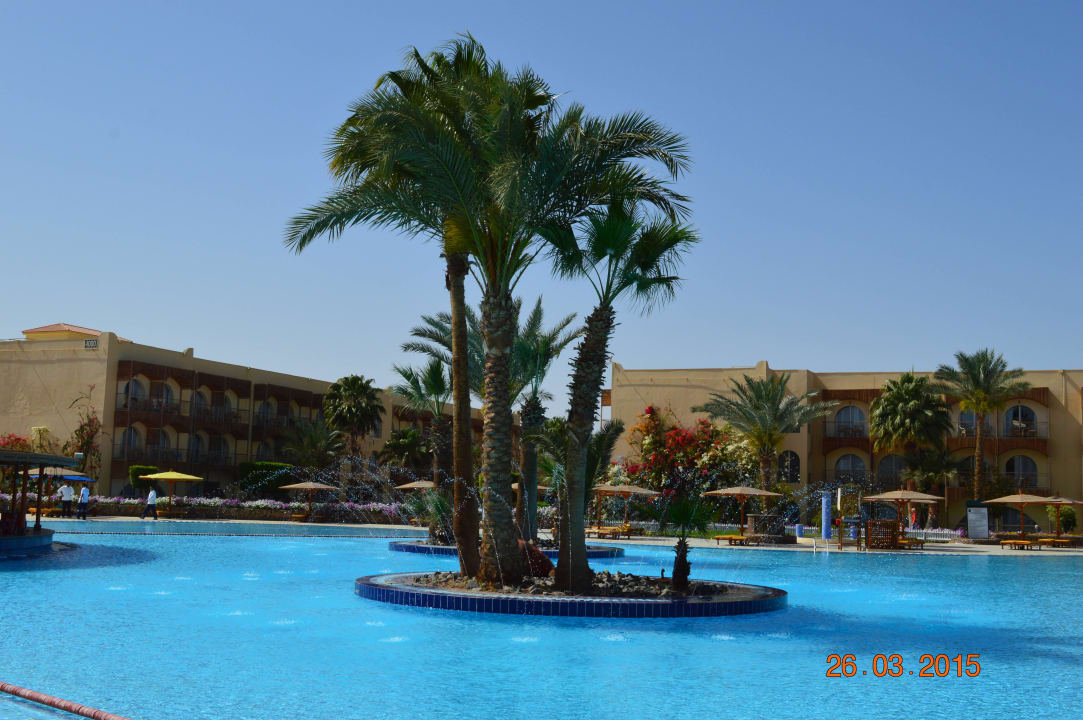 Бассейн Desert Rose