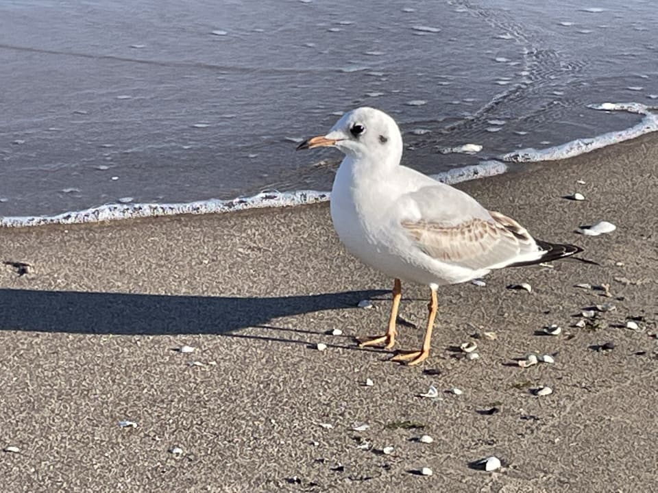 Strand Ferienanlage Vierjahreszeiten