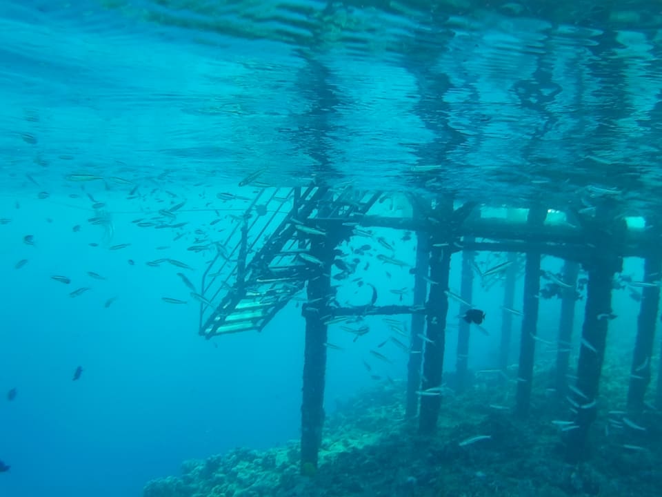 Sport & Freizeit Jaz Grand Marsa