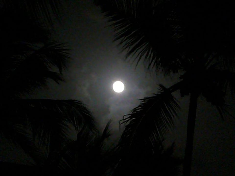 1001 Nacht Hotel Riu Palace Bavaro