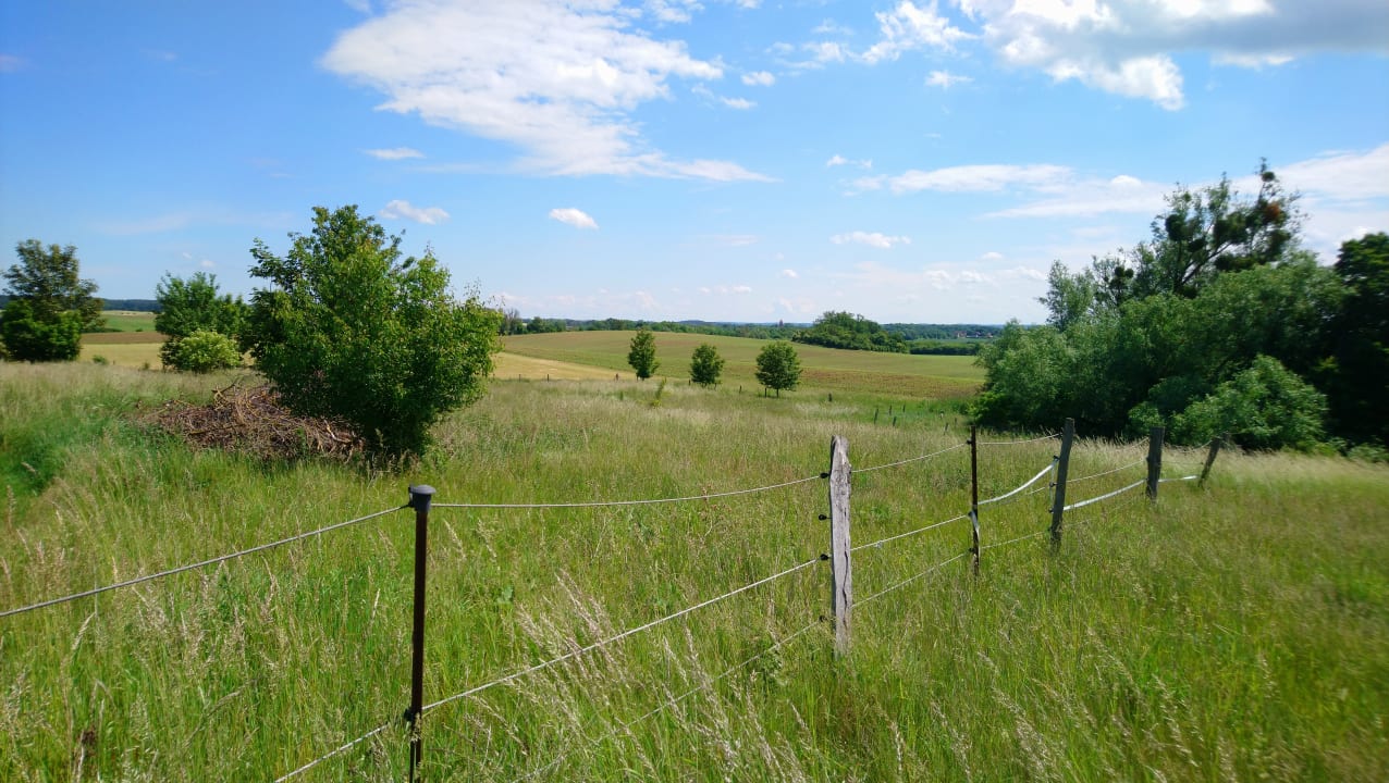 Gartenanlage Hotel Schloss Herrenstein