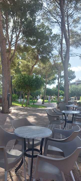 Gartenanlage Protur Floriana Resort Aparthotel