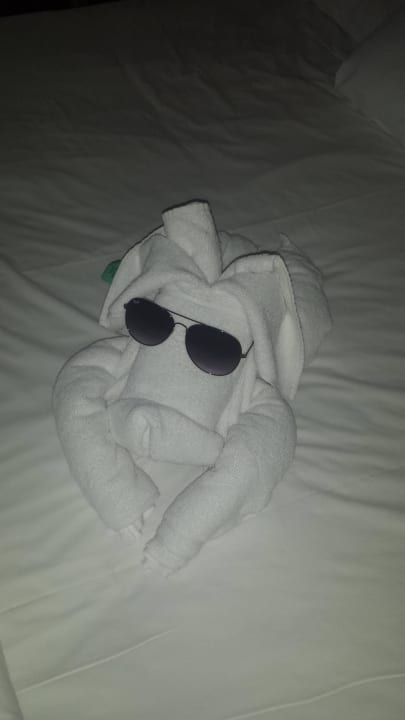 Unser Tierchen auf dem Zimmer  Hotel Delphin Palace