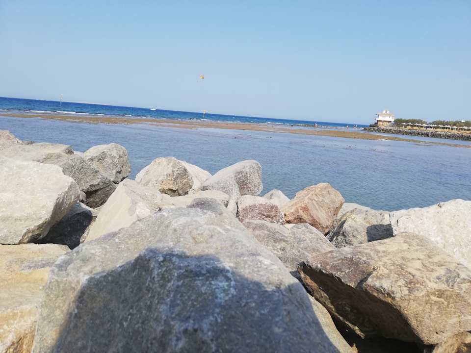 Ausblick Desert Rose