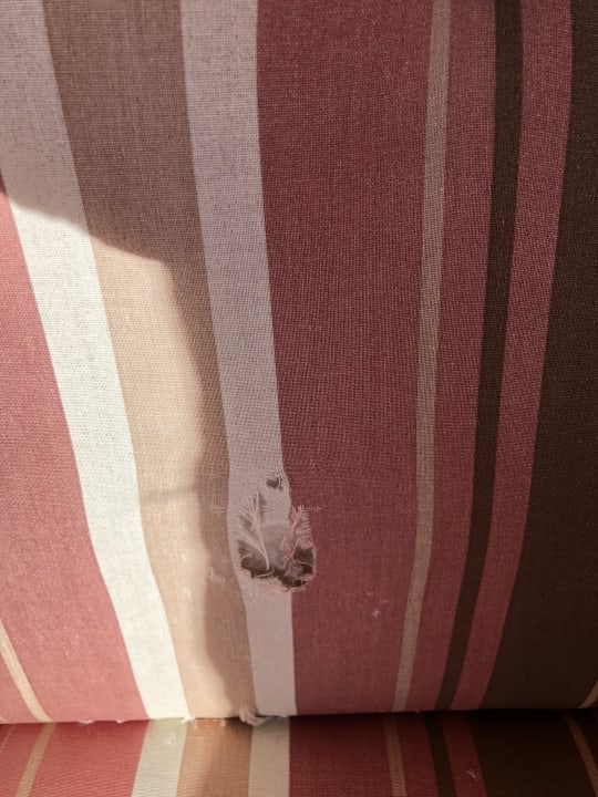 Zimmer Hotel Alphof Alpbach