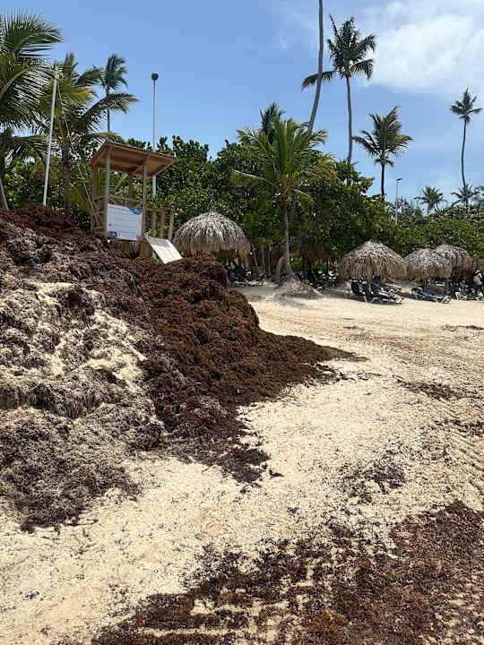 Strand Grand Palladium Punta Cana Resort & Spa