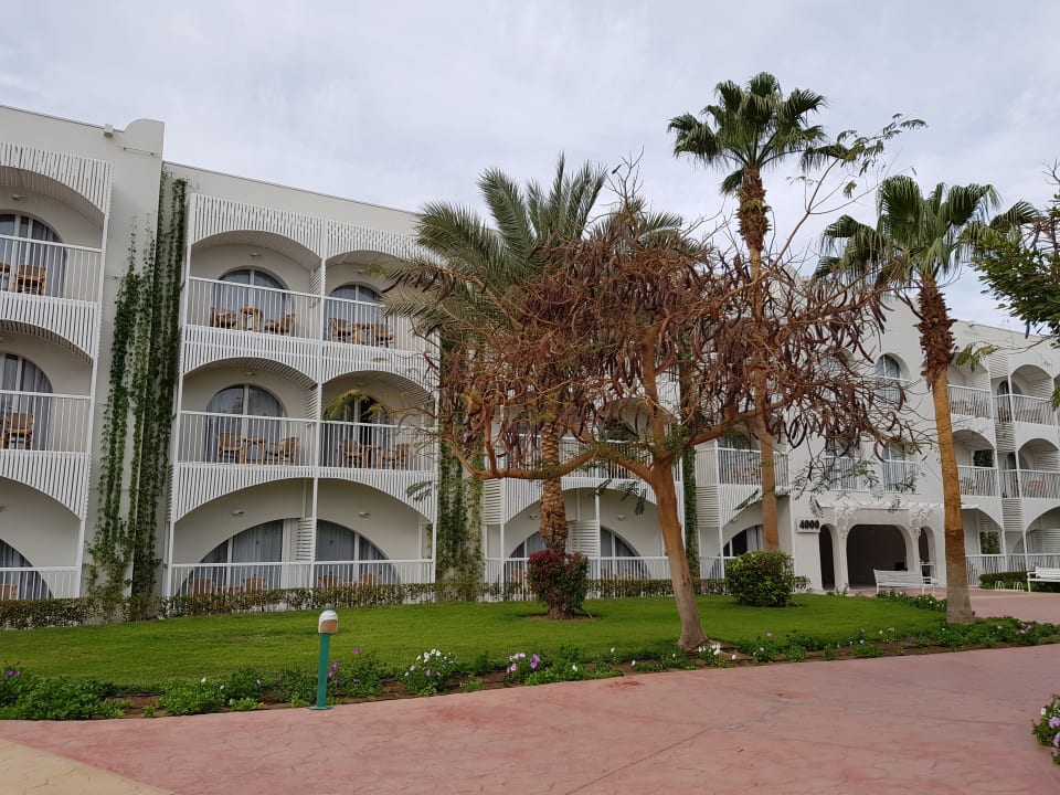 Außenansicht Desert Rose