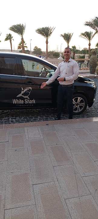 Sonstiges Pickalbatros Palace Resort