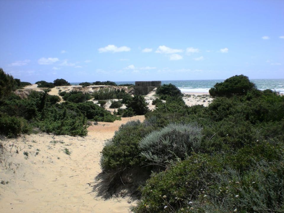 Sehnsucht Valentin Sancti Petri